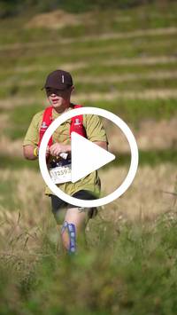 BIB:  <button type="button" onclick="openModal(26787152)" class="btn btn-primary btn-sm float-right" data-toggle="modal" data-target=".modal-high-quality">
                <i class="fa fa-download"></i> Download
                </button>